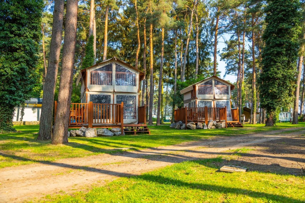Europarcs Hoge Kempen 祖滕达尔 外观 照片